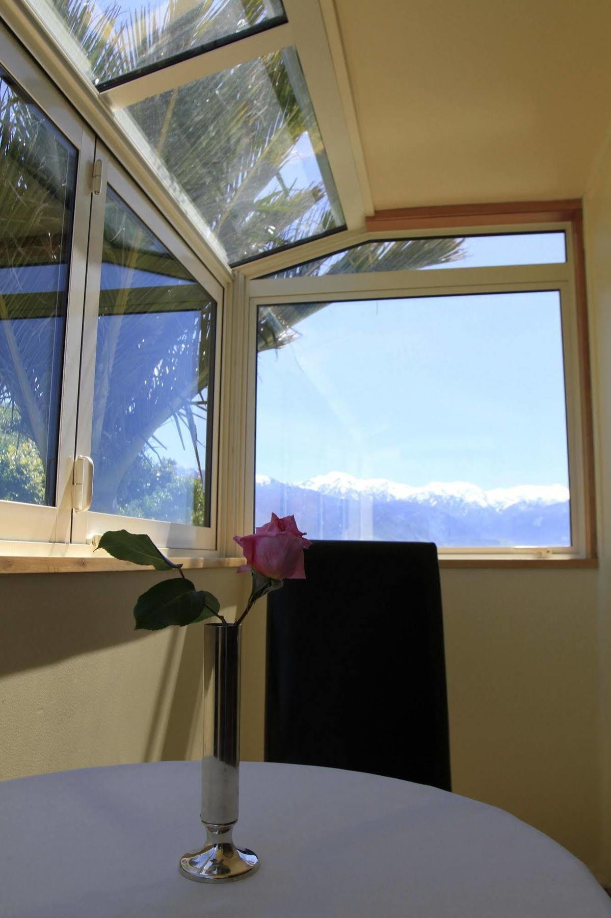 Nikau Kaikoura
